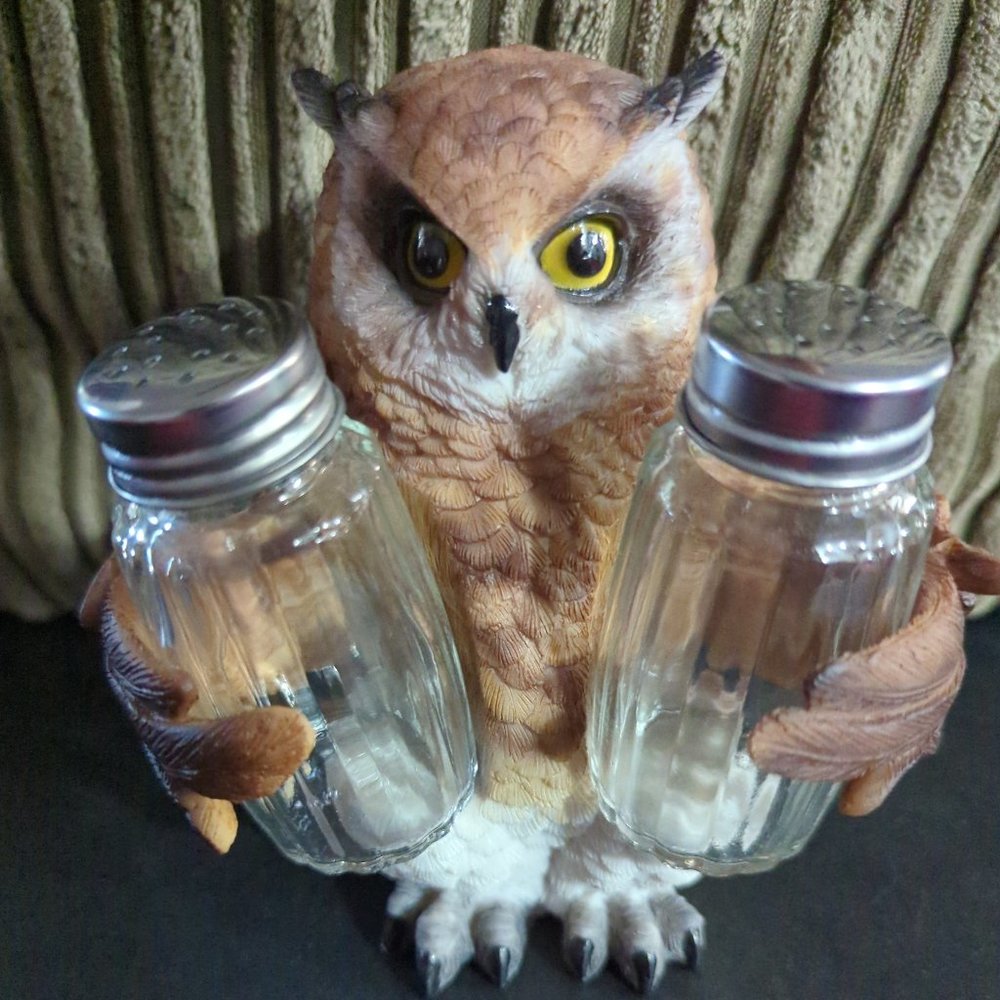Owl Salt & Pepper Shakers